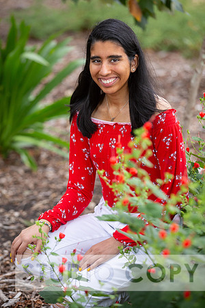 Lupeny Photography -4252