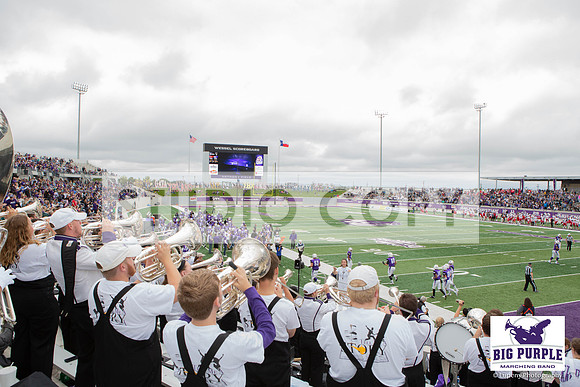 Lupeny Photography-4011