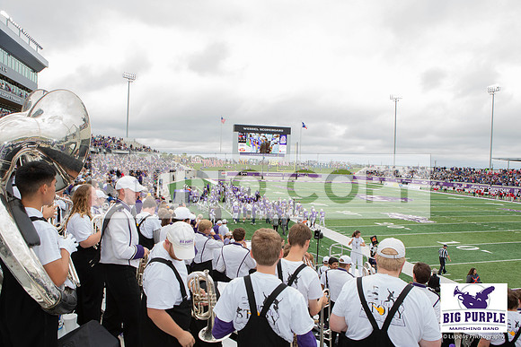 Lupeny Photography-4012