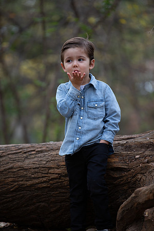 Lupeny Photography-7957