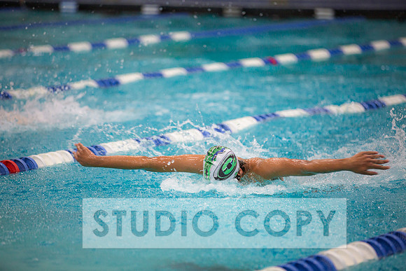 Lupeny Photography -0006