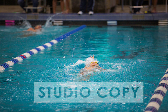 Lupeny Photography -0040