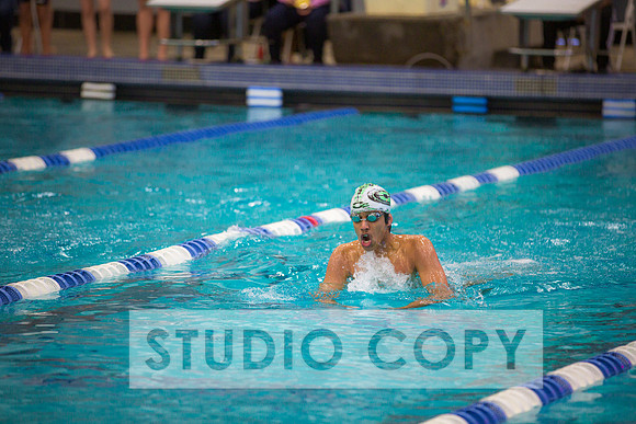 Lupeny Photography -0044