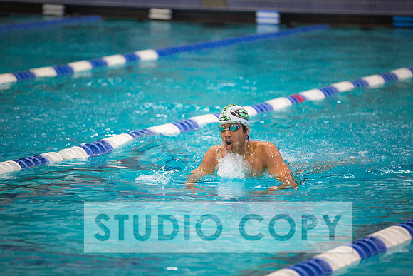 Lupeny Photography -0047