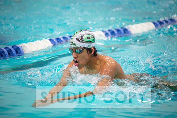Lupeny Photography -0051