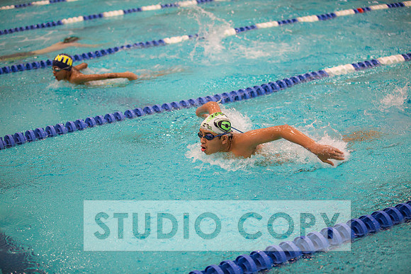 Lupeny Photography -0085