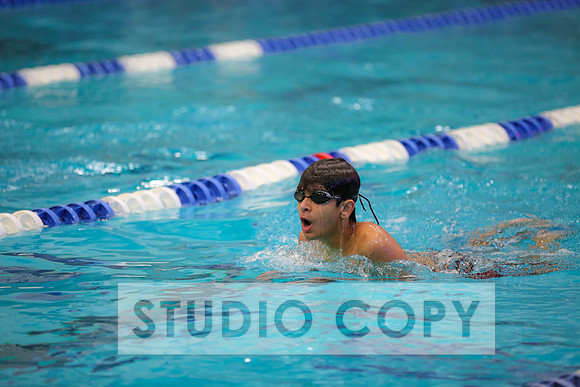 Lupeny Photography -0106