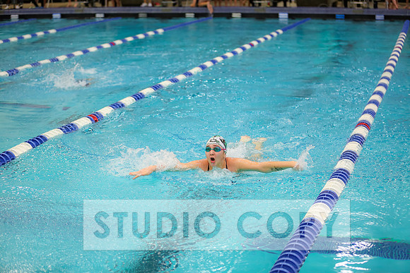 Lupeny Photography -0247