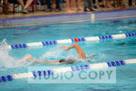 Lupeny Photography -0327