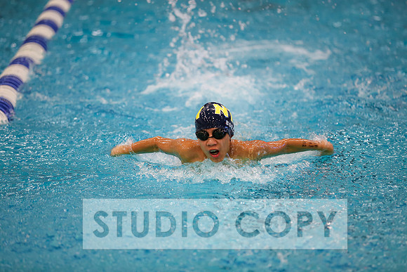 Lupeny Photography -0361