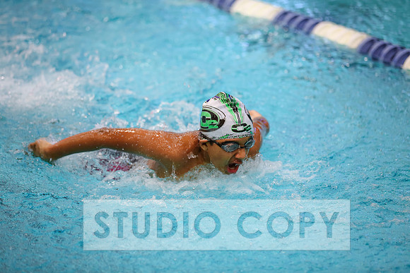 Lupeny Photography -0366