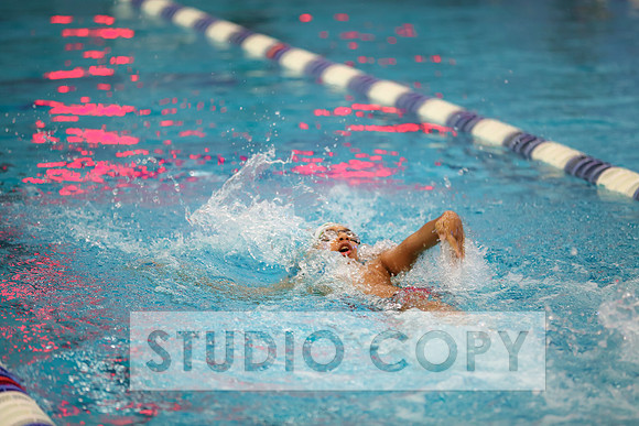Lupeny Photography -0374