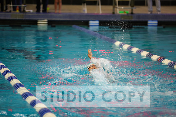 Lupeny Photography -0379
