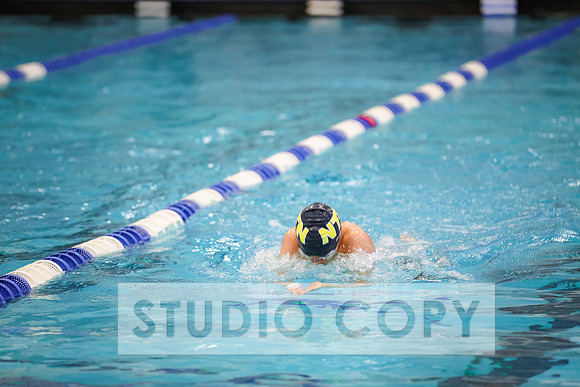 Lupeny Photography -0387