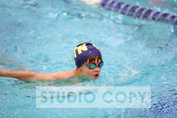 Lupeny Photography -0432