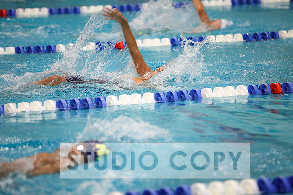 Lupeny Photography -0463