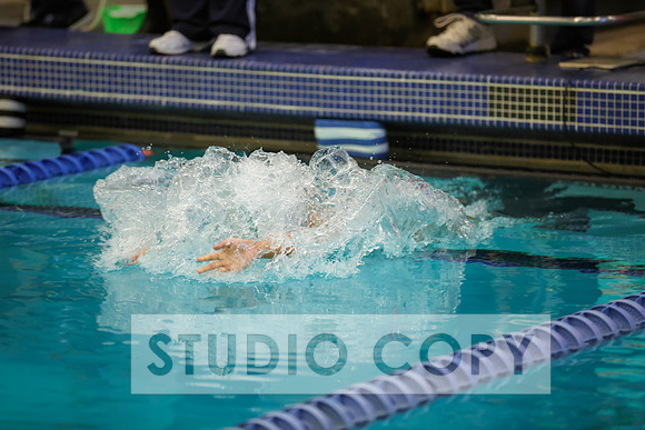Lupeny Photography -0493