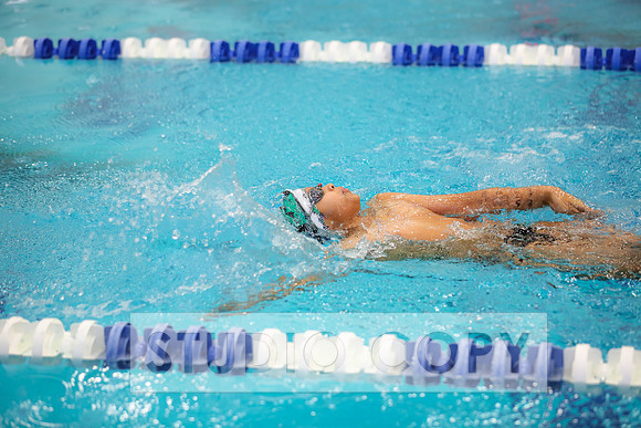 Lupeny Photography -0502