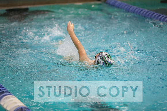 Lupeny Photography -0533