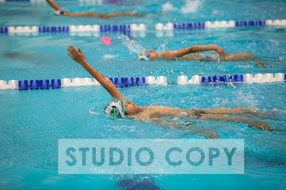 Lupeny Photography -0562