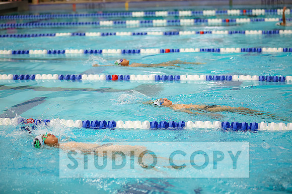 Lupeny Photography -0568