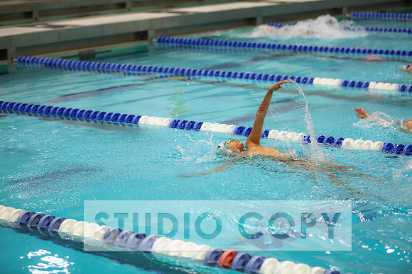 Lupeny Photography -0579
