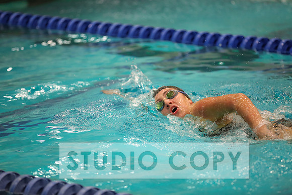 Lupeny Photography -0616