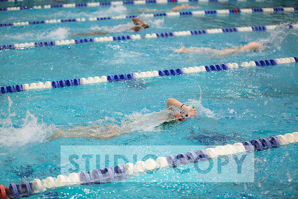 Lupeny Photography -0698