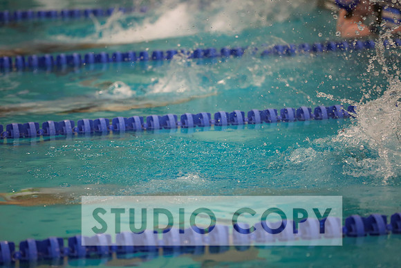 Lupeny Photography -0716