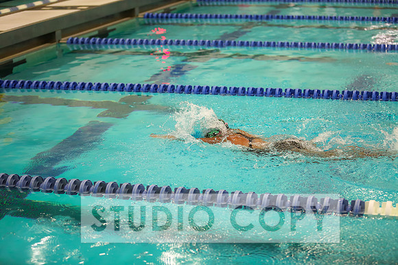 Lupeny Photography -0719