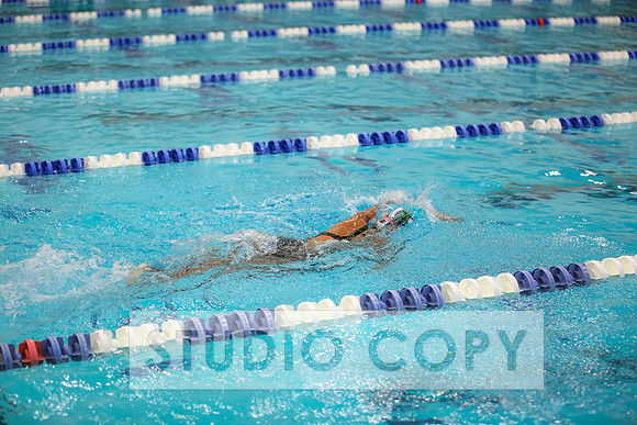 Lupeny Photography -0723