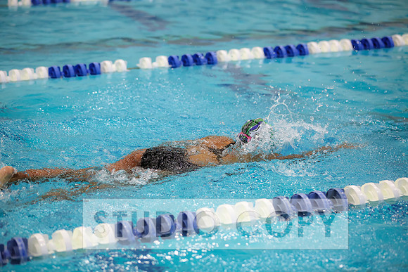 Lupeny Photography -0737