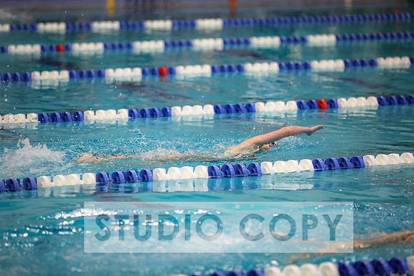 Lupeny Photography -0748