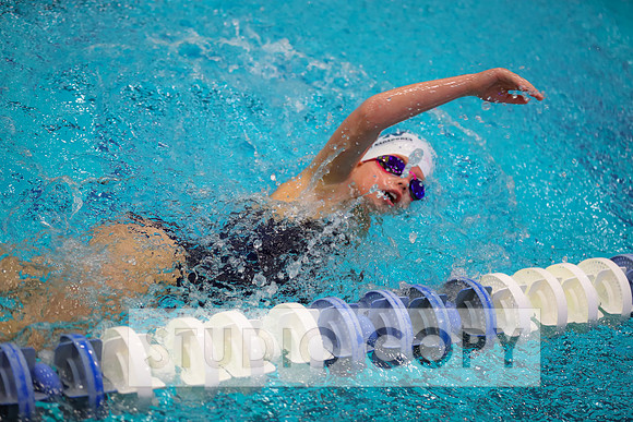 Lupeny Photography -0753