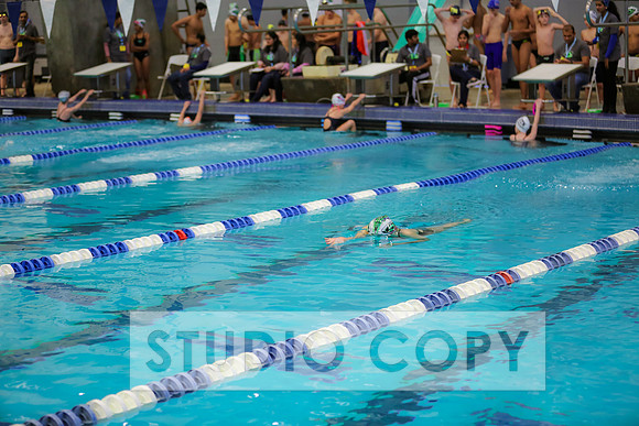 Lupeny Photography -0770