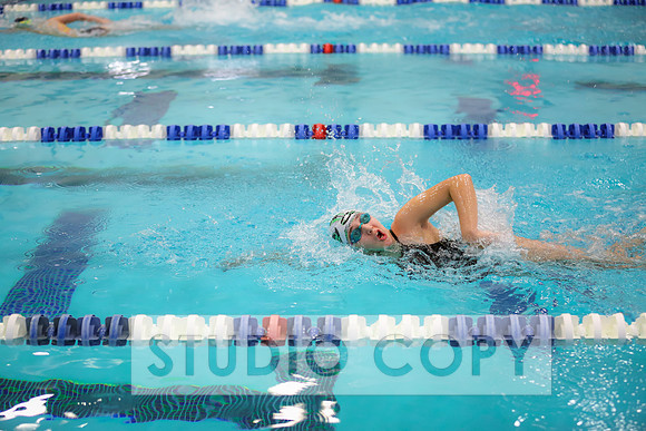 Lupeny Photography -0777