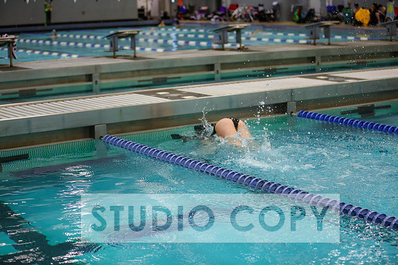Lupeny Photography -0782