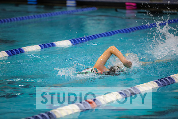 Lupeny Photography -0793