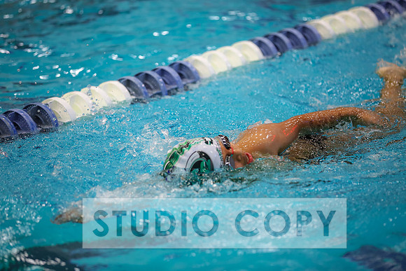 Lupeny Photography -0837