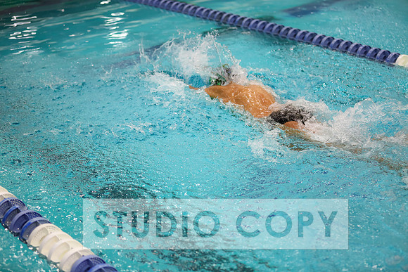 Lupeny Photography -0856