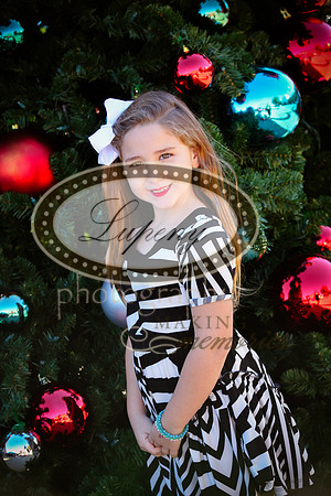 Lupeny Photography   (13 of 68)