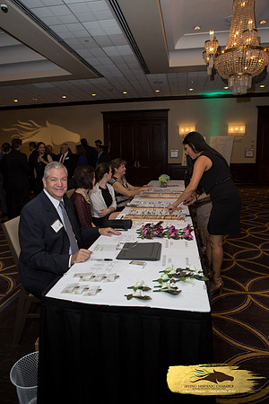 Lupeny Photography (20 of 184)
