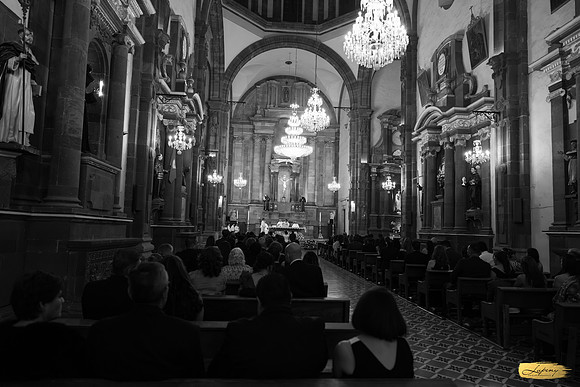 Lupeny photopgraphy--121