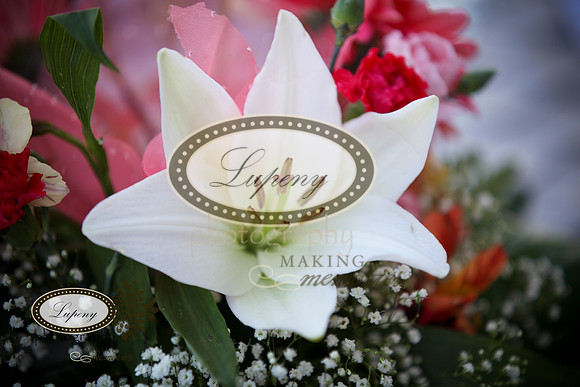 © Lupeny Photography-3