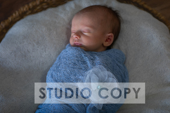 Lupeny Photogrpahy--5
