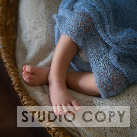 Lupeny Photogrpahy--4