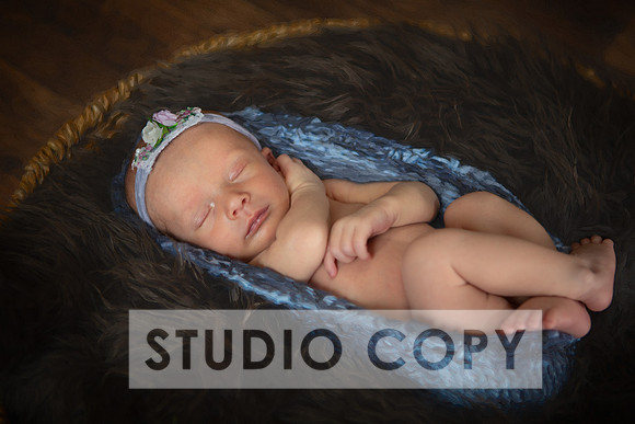 Lupeny Photogrpahy--10