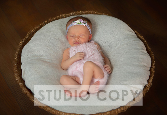 Lupeny Photogrpahy--15