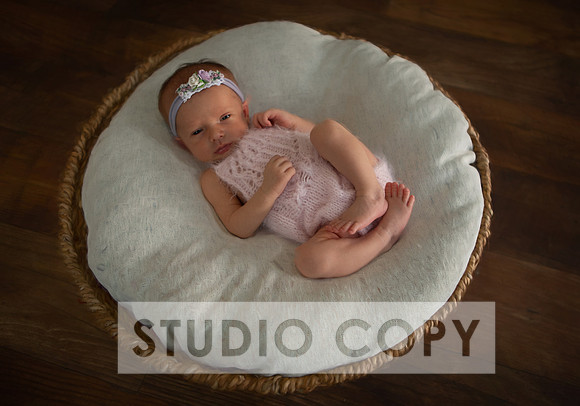 Lupeny Photogrpahy--16