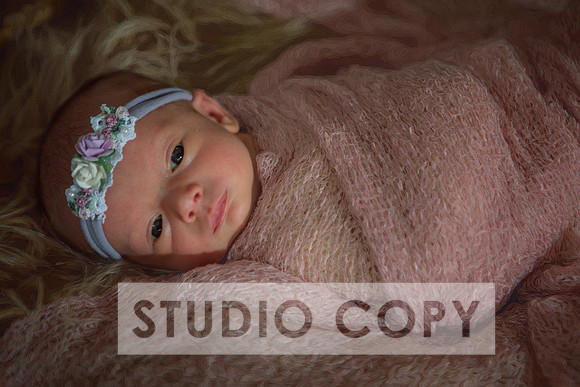 Lupeny Photogrpahy-